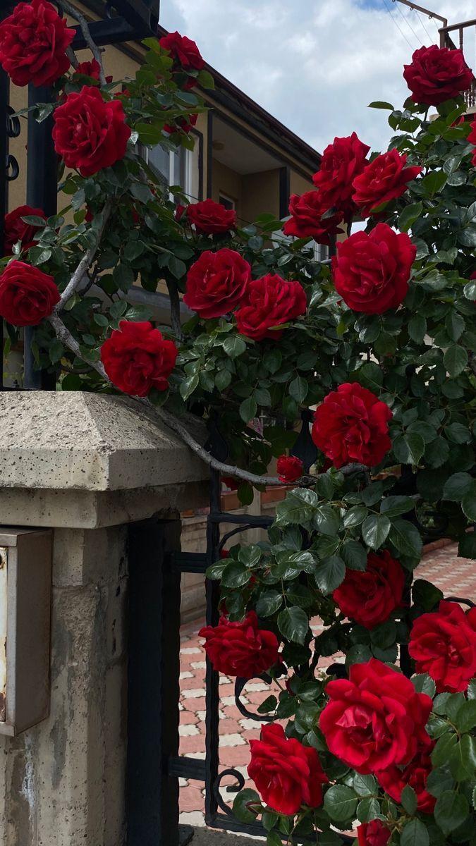 Global Strategy Matrix workshop space where corporate flower arrangements are designed and prepared for business delivery